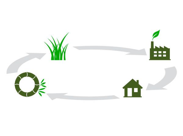 bamboo lifecycle 0 Tre vật liệu tự nhiên bền vững