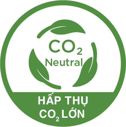 hap thu CO2 lon lavie Sàn Tre Trong Nhà Ép Khối
