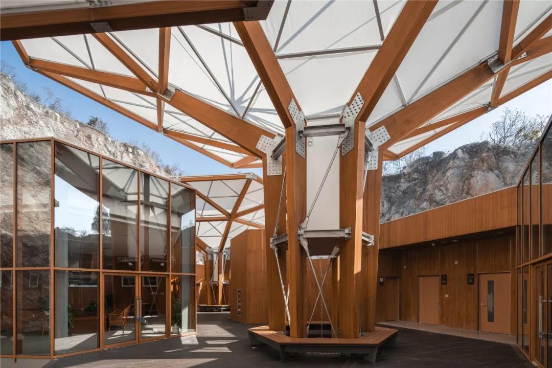 Lắp Đặt Pergola Tre