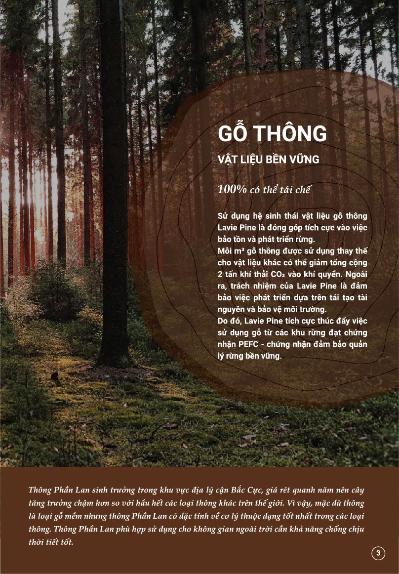 Lavie Pine