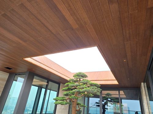 penthouse-doi-can-tam-op-tre-5