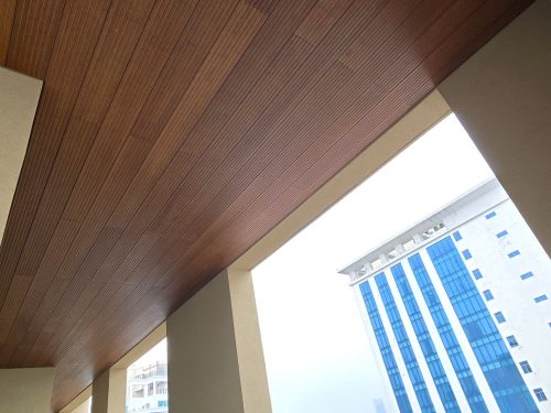 penthouse-doi-can-tam-op-tre-6