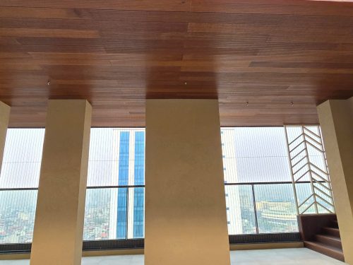 penthouse-doi-can-tam-op-tre-9
