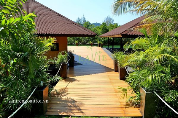 san-tre-ngoai-troi-tre-vo-cuc-lavie-bamboo-12